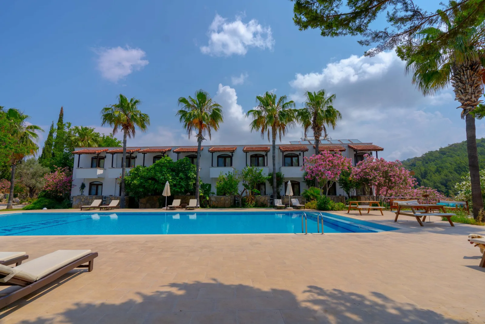The hotel among the gardens